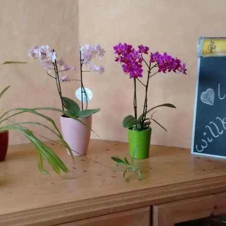 Fasslreiter 아파트 *